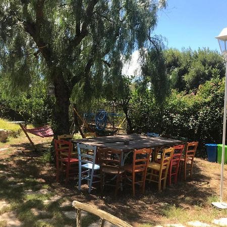 La Pappaghezza Bed & Breakfast Бари Екстериор снимка